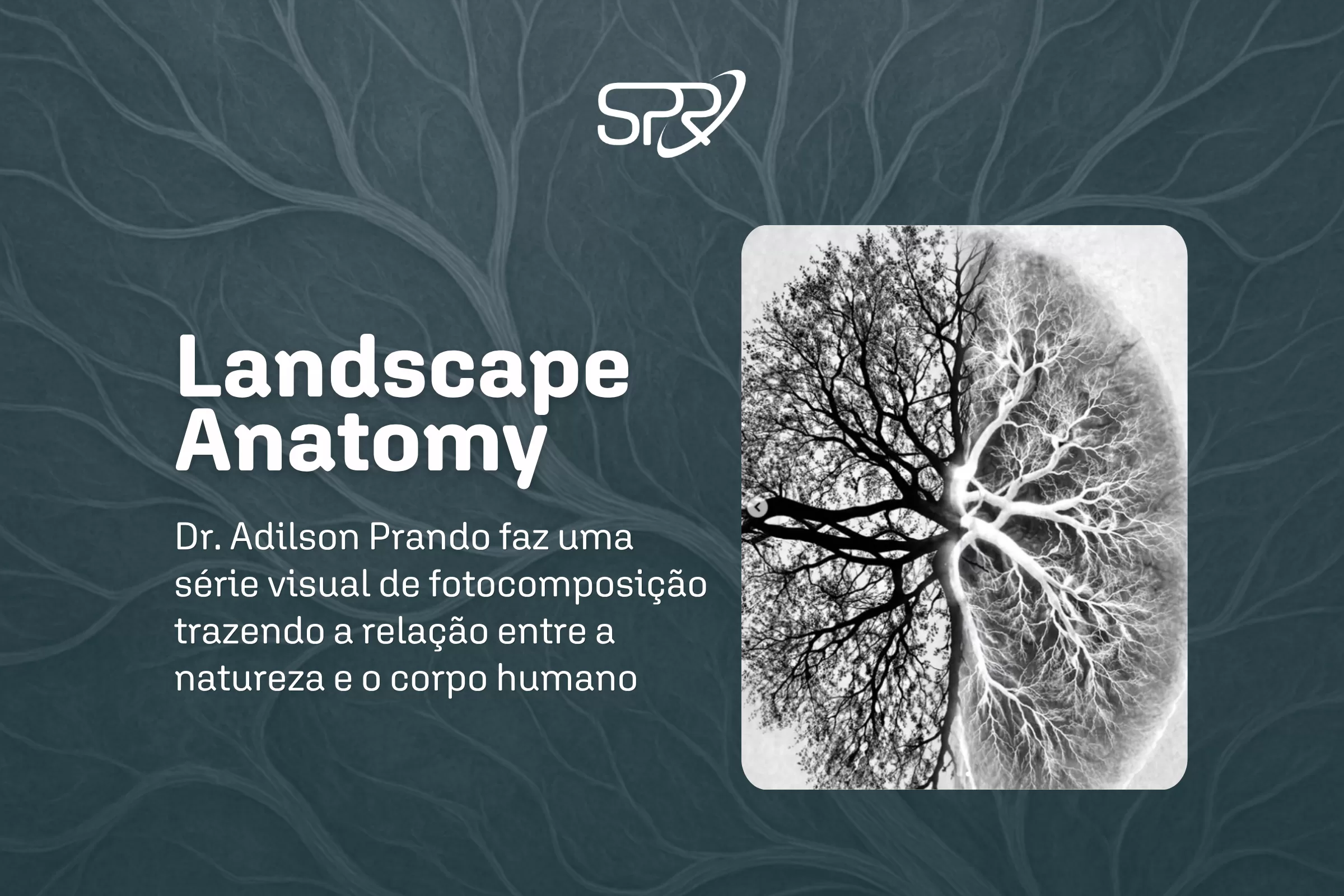 Landscape Anatomy