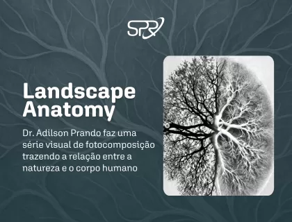 Landscape Anatomy