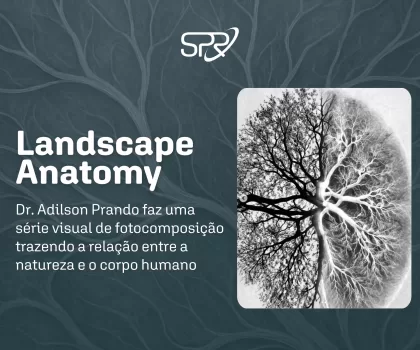 Landscape Anatomy